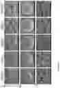Fig. 02 - Graphene composite matrices and uses thereof