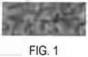 Fig. 02 - Cellulose ester composition