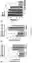 Fig. 12 - 'SMART' HYDROGEL FOR THE RADIOSENSITIZATION AND SUSTAINED DELIVERY OF THERAPEUTICS TRIGGERED BY IRRADIATION
