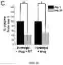 Fig. 16 - 'SMART' HYDROGEL FOR THE RADIOSENSITIZATION AND SUSTAINED DELIVERY OF THERAPEUTICS TRIGGERED BY IRRADIATION