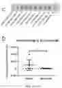 Fig. 20 - 'SMART' HYDROGEL FOR THE RADIOSENSITIZATION AND SUSTAINED DELIVERY OF THERAPEUTICS TRIGGERED BY IRRADIATION