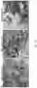Fig. 26 - 'SMART' HYDROGEL FOR THE RADIOSENSITIZATION AND SUSTAINED DELIVERY OF THERAPEUTICS TRIGGERED BY IRRADIATION