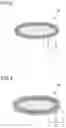 Fig. 03 - Black Aluminum Pigment and Method of Producing Same