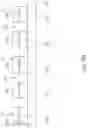 Fig. 06 - CONTACT STRUCTURE, ELECTRONIC DEVICE, AND METHOD OF MANUFACTURING CONTACT STRUCTURE