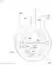 Fig. 56 - REFRIGERANT-CONTAINING COMPOSITION, USE THEREOF, REFRIGERATOR HAVING SAME, OPERATION METHOD FOR SAID REFRIGERATOR, AND REFRIGERATION CYCLE DEVICE EQUIPPED WITH SAID REFRIGERATOR