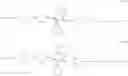 Fig. 46 - Polymerizable liquid crystal material and polymerized liquid crystal film