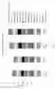 Fig. 03 - STABILITY AND VISCOSITY IN HIGH ACTIVE HIGH CAUSTIC LAUNDRY EMULSION WITH LOW HLB SURFACTANT