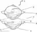 Fig. 01 - Detergent composition