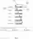 Fig. 07 - OPERATION PROCESS FOR A CELL CULTIVATION SYSTEM