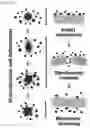 Fig. 03 - MICROFLUIDIC SYSTEM FOR INTRACELLULAR DELIVERY OF MATERIALS AND METHOD THEREFOR