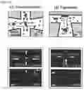 Fig. 04 - MICROFLUIDIC SYSTEM FOR INTRACELLULAR DELIVERY OF MATERIALS AND METHOD THEREFOR