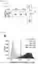 Fig. 12 - MICROFLUIDIC SYSTEM FOR INTRACELLULAR DELIVERY OF MATERIALS AND METHOD THEREFOR