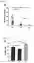 Fig. 16 - MICROFLUIDIC SYSTEM FOR INTRACELLULAR DELIVERY OF MATERIALS AND METHOD THEREFOR