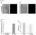 Fig. 19 - MICROFLUIDIC SYSTEM FOR INTRACELLULAR DELIVERY OF MATERIALS AND METHOD THEREFOR