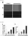 Fig. 21 - MICROFLUIDIC SYSTEM FOR INTRACELLULAR DELIVERY OF MATERIALS AND METHOD THEREFOR