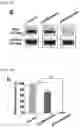 Fig. 22 - MICROFLUIDIC SYSTEM FOR INTRACELLULAR DELIVERY OF MATERIALS AND METHOD THEREFOR