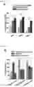 Fig. 23 - MICROFLUIDIC SYSTEM FOR INTRACELLULAR DELIVERY OF MATERIALS AND METHOD THEREFOR
