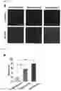 Fig. 25 - MICROFLUIDIC SYSTEM FOR INTRACELLULAR DELIVERY OF MATERIALS AND METHOD THEREFOR