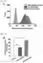 Fig. 26 - MICROFLUIDIC SYSTEM FOR INTRACELLULAR DELIVERY OF MATERIALS AND METHOD THEREFOR