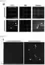 Fig. 27 - MICROFLUIDIC SYSTEM FOR INTRACELLULAR DELIVERY OF MATERIALS AND METHOD THEREFOR