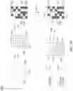 Fig. 11 - Detection of nuclease edited sequences in automated modules and instruments
