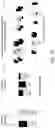 Fig. 38 - Detection of nuclease edited sequences in automated modules and instruments