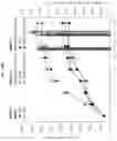 Fig. 16 - Biomass growth composition containing sp. strain