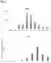 Fig. 02 - METHODS OF GENERATING AND ISOLATING MIDBRAIN DOPAMINE NEURONS