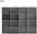 Fig. 04 - METHODS OF GENERATING AND ISOLATING MIDBRAIN DOPAMINE NEURONS