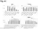 Fig. 05 - METHODS OF GENERATING AND ISOLATING MIDBRAIN DOPAMINE NEURONS