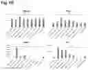 Fig. 06 - METHODS OF GENERATING AND ISOLATING MIDBRAIN DOPAMINE NEURONS