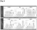 Fig. 10 - METHODS OF GENERATING AND ISOLATING MIDBRAIN DOPAMINE NEURONS