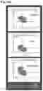 Fig. 26 - METHODS OF GENERATING AND ISOLATING MIDBRAIN DOPAMINE NEURONS
