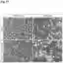 Fig. 28 - METHODS OF GENERATING AND ISOLATING MIDBRAIN DOPAMINE NEURONS