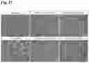 Fig. 38 - METHODS OF GENERATING AND ISOLATING MIDBRAIN DOPAMINE NEURONS