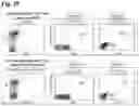 Fig. 40 - METHODS OF GENERATING AND ISOLATING MIDBRAIN DOPAMINE NEURONS