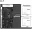 Fig. 42 - METHODS OF GENERATING AND ISOLATING MIDBRAIN DOPAMINE NEURONS