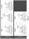 Fig. 43 - METHODS OF GENERATING AND ISOLATING MIDBRAIN DOPAMINE NEURONS