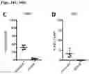 Fig. 47 - METHODS OF GENERATING AND ISOLATING MIDBRAIN DOPAMINE NEURONS