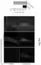 Fig. 48 - METHODS OF GENERATING AND ISOLATING MIDBRAIN DOPAMINE NEURONS