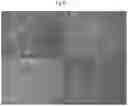 Fig. 06 - Methods for differentiating cells