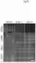 Fig. 07 - Methods for differentiating cells