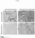 Fig. 13 - Methods for differentiating cells