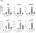 Fig. 15 - Methods for differentiating cells