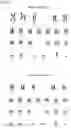 Fig. 17 - Methods for differentiating cells