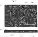 Fig. 22 - Methods for differentiating cells