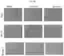 Fig. 27 - Methods for differentiating cells