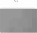 Fig. 28 - Methods for differentiating cells