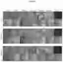 Fig. 29 - Methods for differentiating cells