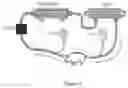 Fig. 12 - Cytopheresis cartridges and use thereof